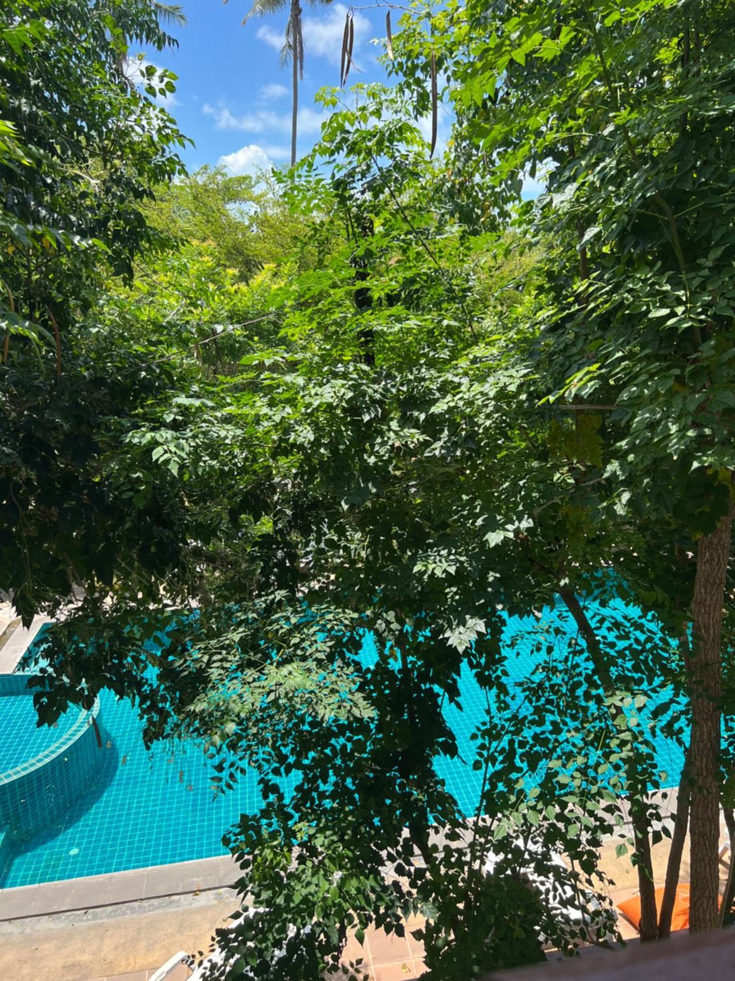 Samui Seabreeze Place Самуи Экстерьер фото